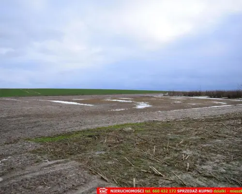 Wierciszów, działki budowlane MN, media 100%.