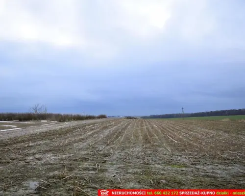 Wierciszów, działki budowlane MN, media 100%.