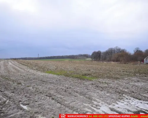 Wierciszów, działki budowlane MN, media 100%.