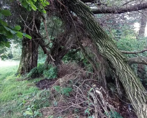 Łąka pod Lublinem- miejsce na odpoczynek nad rzeką!