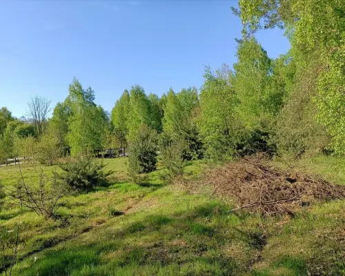 Działka z WZ 4883 m2 Gródek gm. Policzna/zwoleński