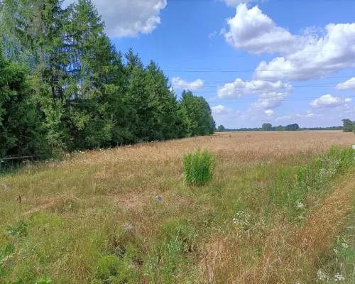 Działka 4 ha o różnym przeznaczeniu w Zwoleniu.