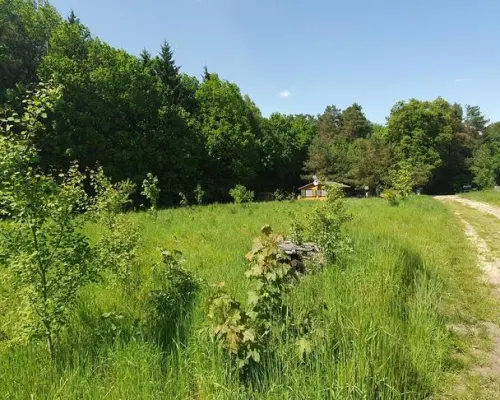 Działka,Wytyczno,Jezioro Wytyckie 45 arów budowlana
