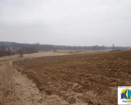 Działka Pliszczyn,media, działka budowl usług 65ar