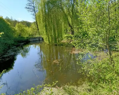 Dwa domy na dużej działce 100 km. od Warszawy.