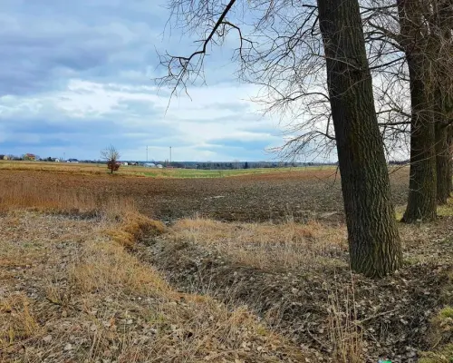 Działka inwestycyjna w Zemborzycach Kościelnych