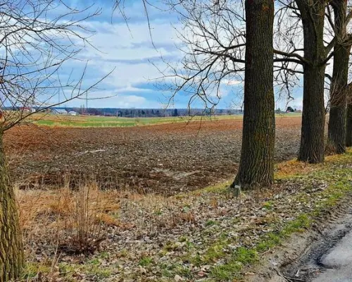 Działka inwestycyjna w Zemborzycach Kościelnych
