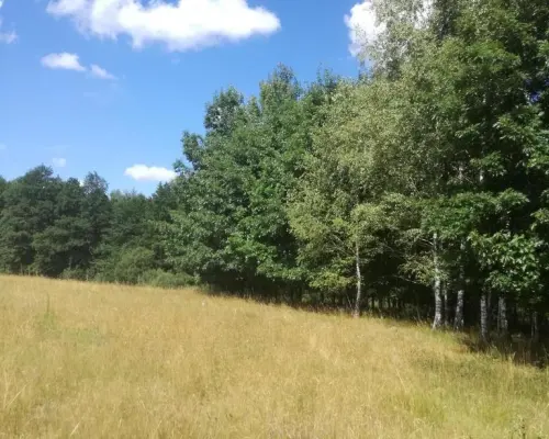 Kolonia Garbatówka, działka rolna, 3,18 ha!!