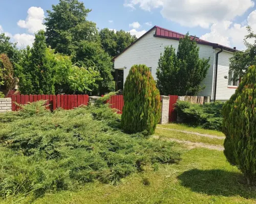 Piękne siedlisko położone w Kiełczewicach Górnych.