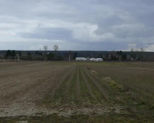 Działka w doskonałej lokalizacji-5 min. od Zalewu