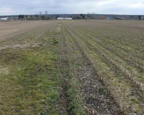 Działka w doskonałej lokalizacji-5 min. od Zalewu