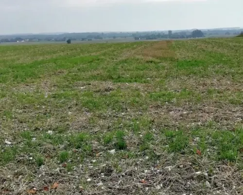 Działka inwestycyjna 4,5 ha bezpośrednio przy S12