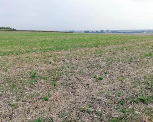 Działka inwestycyjna 4,5 ha bezpośrednio przy S12