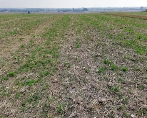 Działka inwestycyjna 4,5 ha bezpośrednio przy S12
