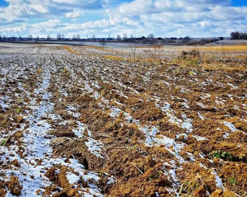 Działka budowlana Płouszowice Kolonia - 35ar