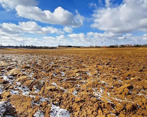 Działka budowlana Płouszowice Kolonia - 35ar