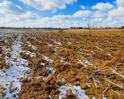 Działka budowlana Płouszowice Kolonia - 35ar