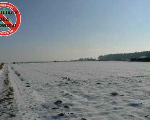 Krężnica Jara 8km od Lublina. 8000m2