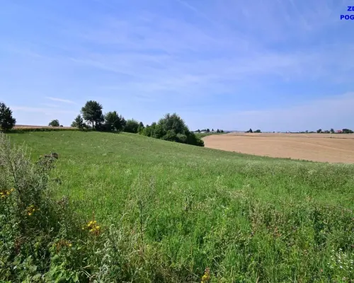 Działka doskonała pod inwestycję - Nałęczów - 14ar