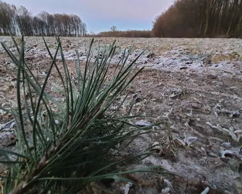 30a w doskonałej lokalizacji pod Kazimierzem D