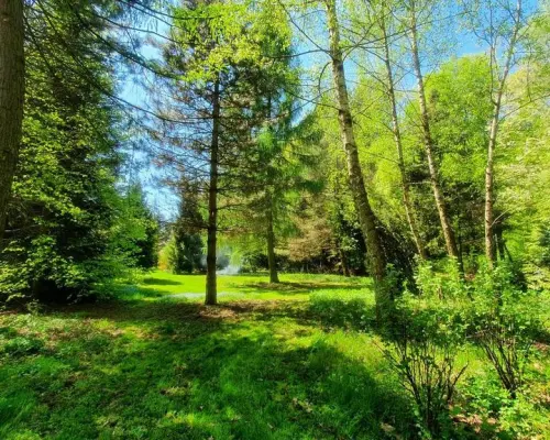 Działka, Zemborzyce Tereszyńskie, 57 ar