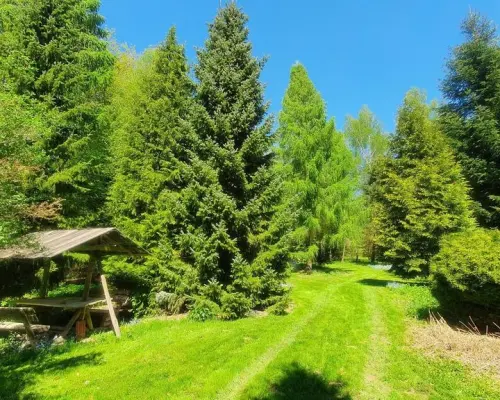 Działka, Zemborzyce Tereszyńskie, 57 ar
