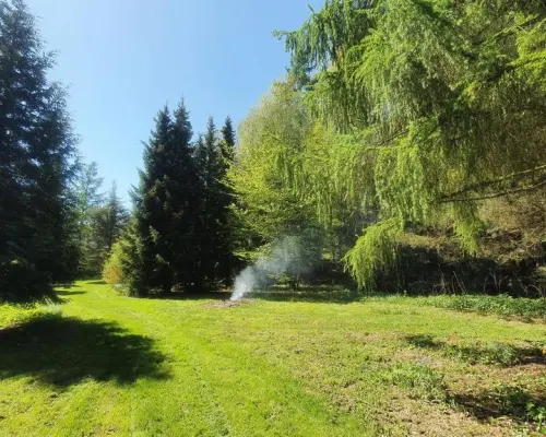 Działka, Zemborzyce Tereszyńskie, 57 ar