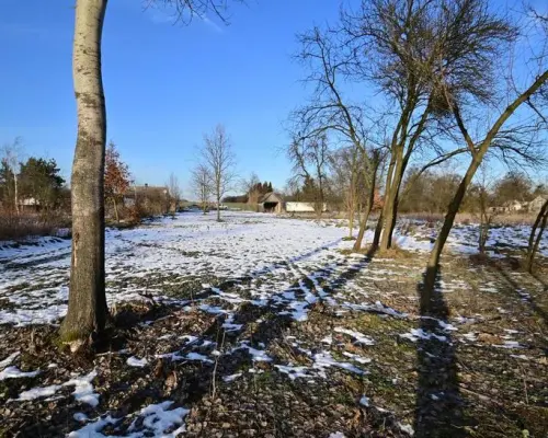 Gm. Wąwolnica - 100ar z projektem domu.