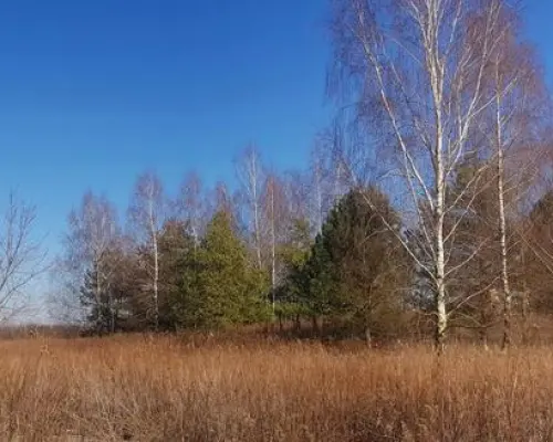 Piękna działka rekreacyjna na zaciszu - Karczmiska