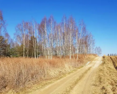 Piękna działka rekreacyjna na zaciszu - Karczmiska