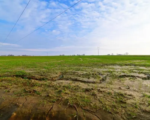 Działka 14ar pod zab. jednorodzinną - Zemborzyce