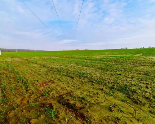 Działka 14ar pod zab. jednorodzinną - Zemborzyce