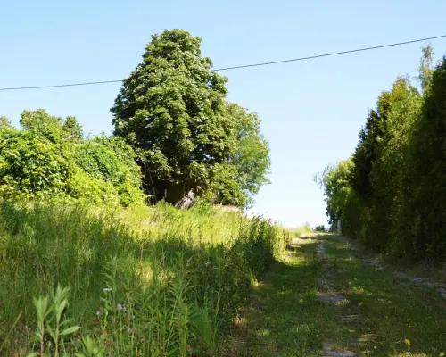 Działka rolno-budow. z szybkim dojazdem do Lublina