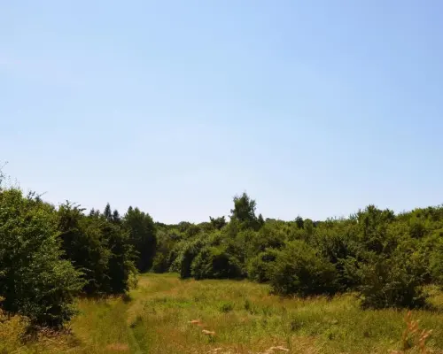 Działka rolno-budow. z szybkim dojazdem do Lublina