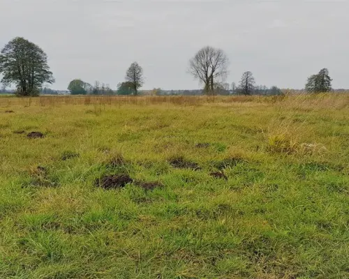 Samoklęski kol. Pierwsza - działka rolna
