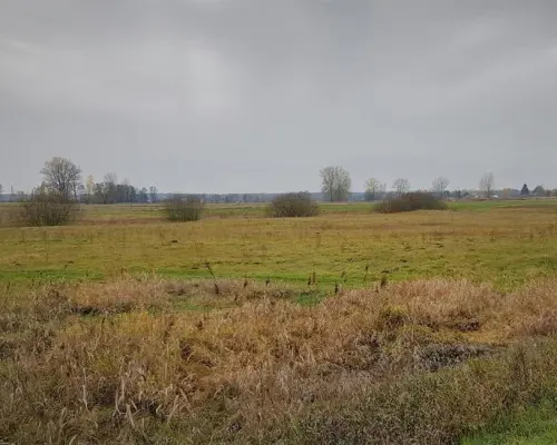 Samoklęski kol. Pierwsza - działka rolna
