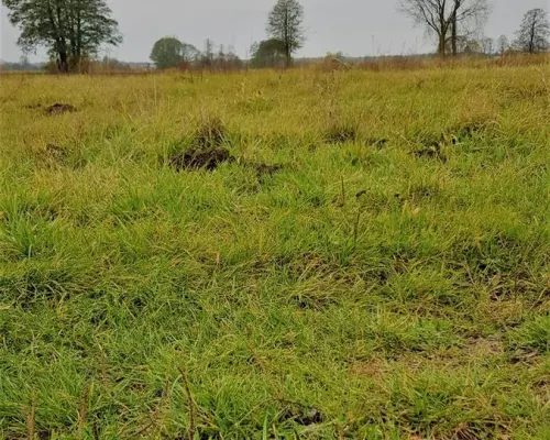 Samoklęski kol. Pierwsza - działka rolna