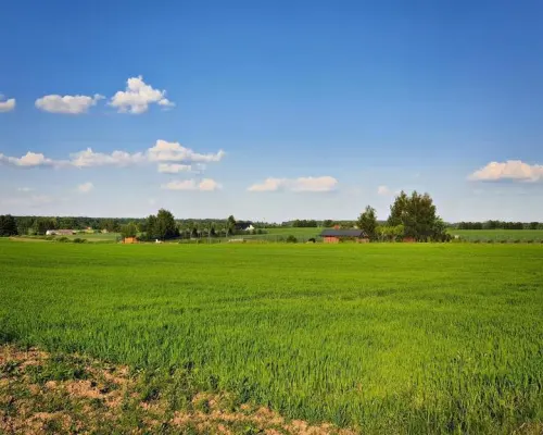 Działka 30ar nieopodal Lublina - Miłocin