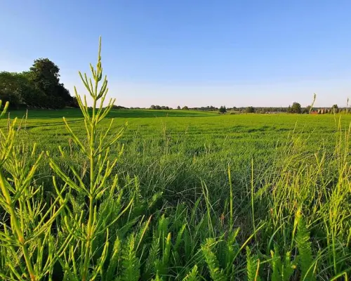 Działka 30ar nieopodal Lublina - Miłocin
