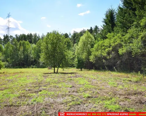 Pliszczyn, działka do wydzielenia 30-50a, rzeka.