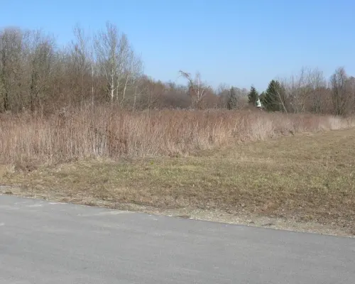 Działki budowlane w Nałęczowie.