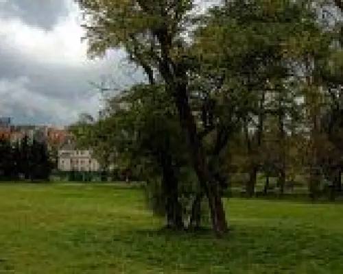 Sprzedam działkę komercyjną!