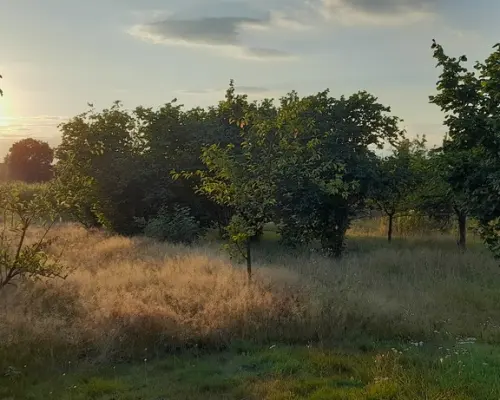 Ładna, uzbrojona działka pod lasem-33a-Wilczopole