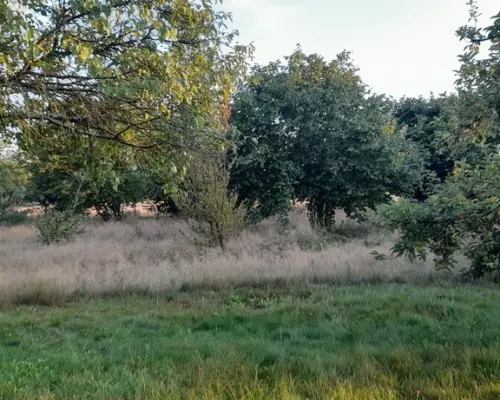 Ładna, uzbrojona działka pod lasem-33a-Wilczopole
