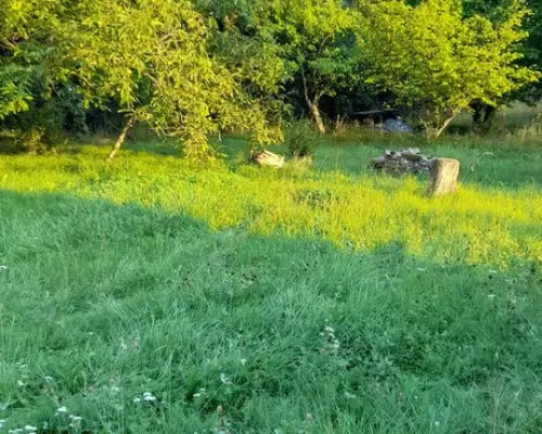 Ładna, uzbrojona działka pod lasem-33a-Wilczopole