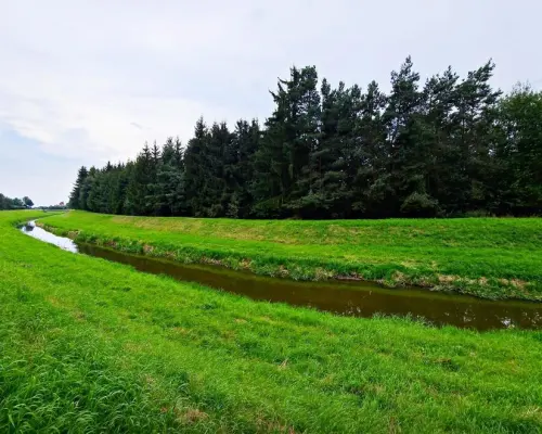 Łąki przy kanale - częściowo pod wydobycie torfu!!