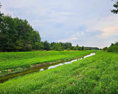 Łąki przy kanale - częściowo pod wydobycie torfu!!