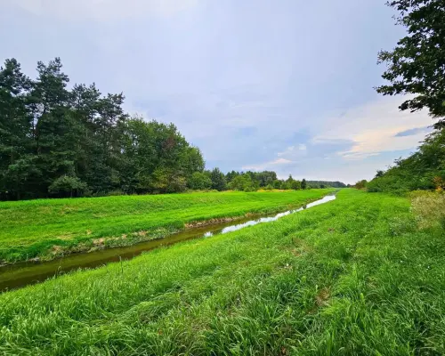 Łąki przy kanale - częściowo pod wydobycie torfu!!