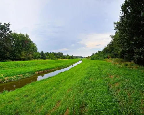 Łąki przy kanale - częściowo pod wydobycie torfu!!