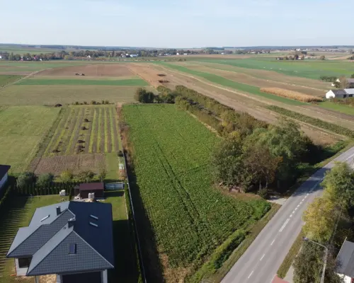 Działka budowlana Krasnystaw ul. Kościuszki 42,8ar